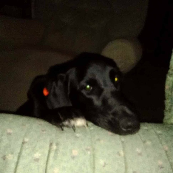 Meet your Posher, Jacob - Picture 2 of 2